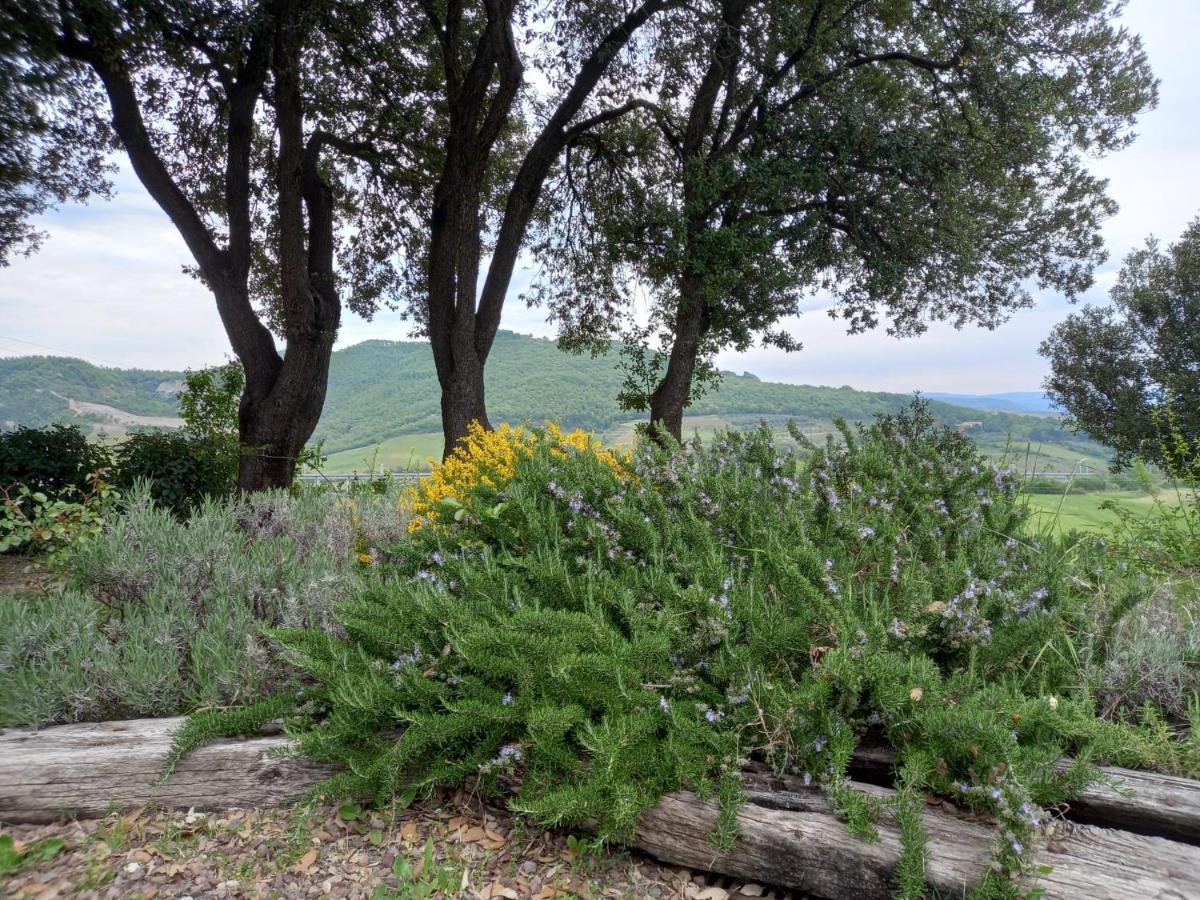 Agriturismo Riparossa Allerona Dış mekan fotoğraf