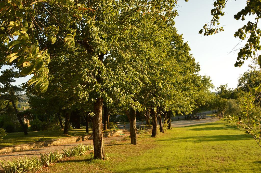 Agriturismo Riparossa Allerona Dış mekan fotoğraf