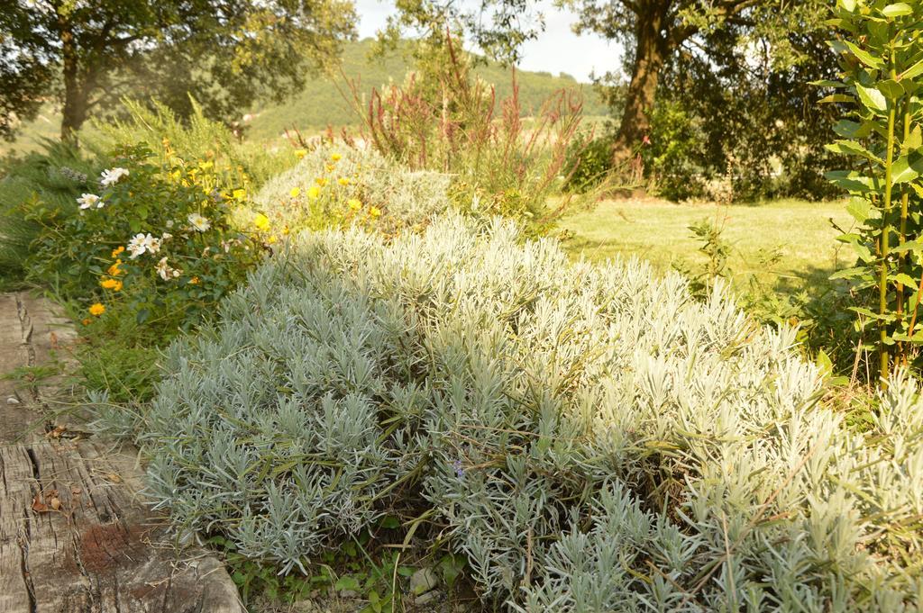 Agriturismo Riparossa Allerona Dış mekan fotoğraf