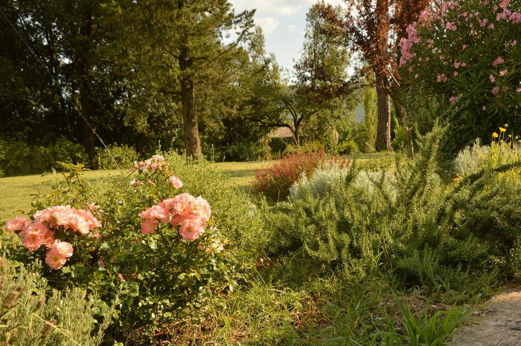 Agriturismo Riparossa Allerona Dış mekan fotoğraf
