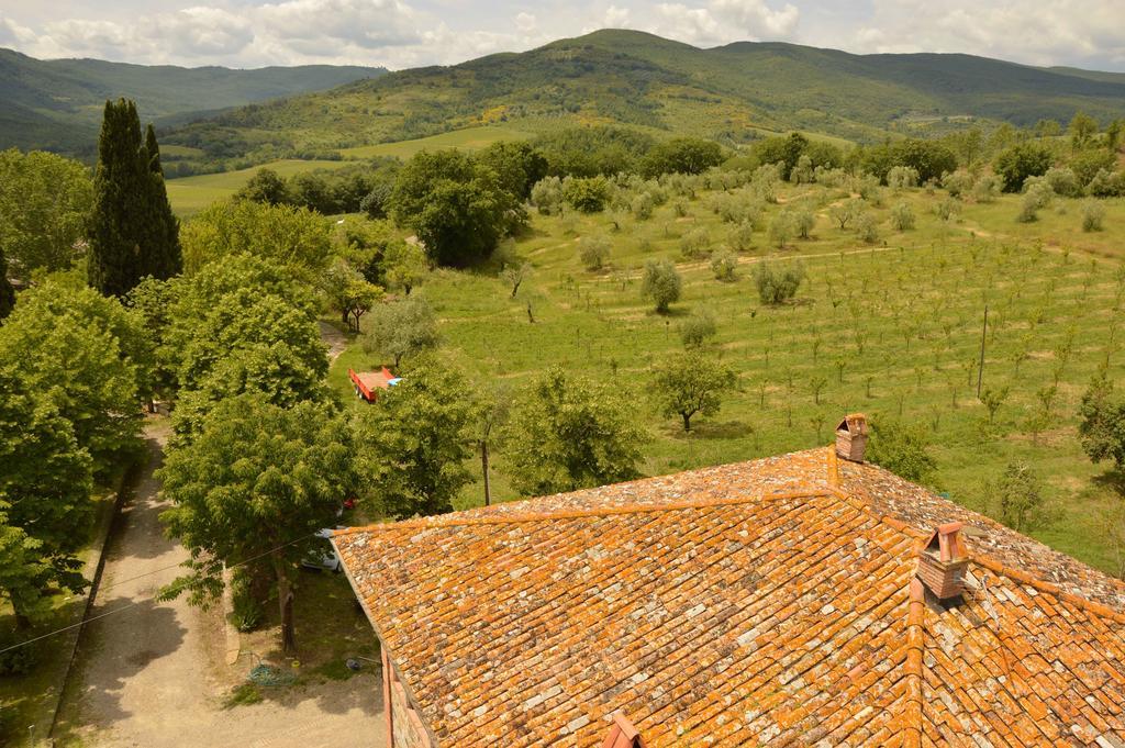 Agriturismo Riparossa Allerona Dış mekan fotoğraf
