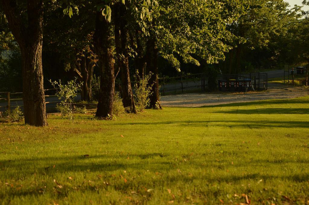 Agriturismo Riparossa Allerona Dış mekan fotoğraf