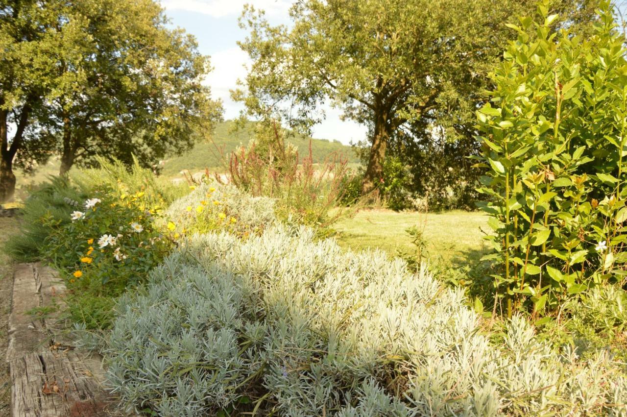 Agriturismo Riparossa Allerona Dış mekan fotoğraf